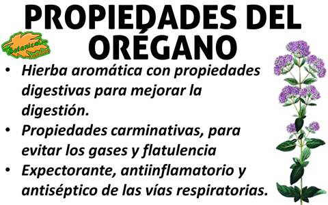 El dolor que tira en la espalda a 6 semanas del embarazo