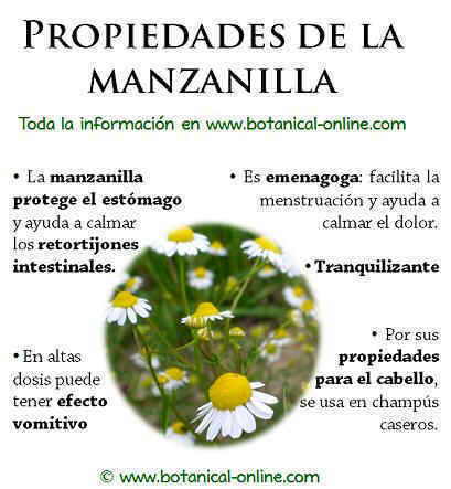 Propiedades de la manzanilla