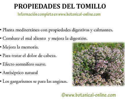 Propiedades tomillo
