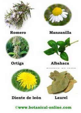 La máscara para de la canela para los cabellos para osvetleniya