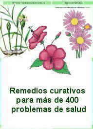 remedios curativos