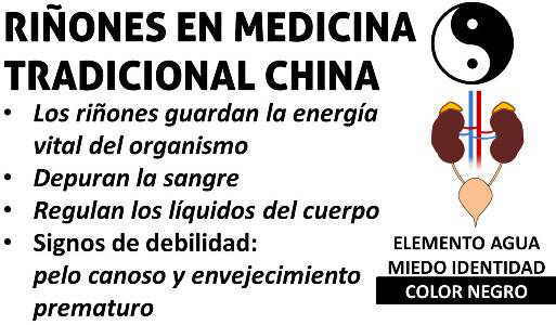 Resultado de imagen para deficit del riñon medicina tradicional china