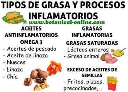 Caracteristicas de las esteroides