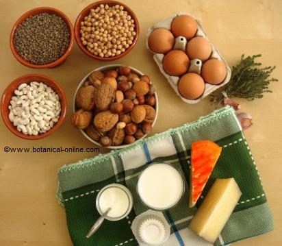 proteinas