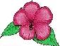Dibujar flores