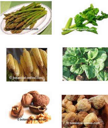 alimentos para las canas