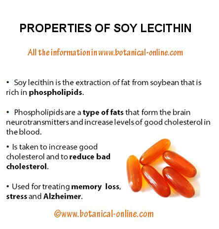 Properties o soy lecithin