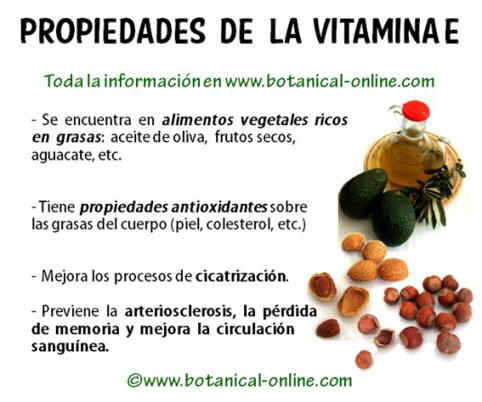 Las máscaras para el crecimiento de los cabello de la mostaza las revocaciones quien ha ayudado