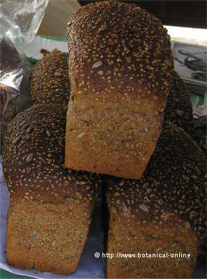 Pan con linaza