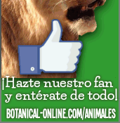 Hazte fan en Facebook