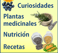 Plant Magazine of Botanical-online September 2017