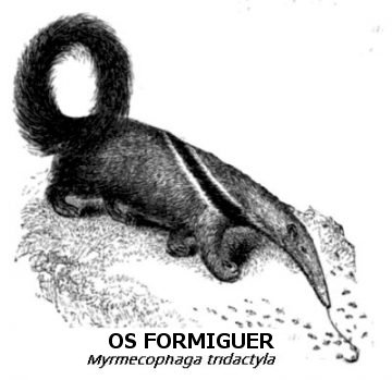 ós formiguer