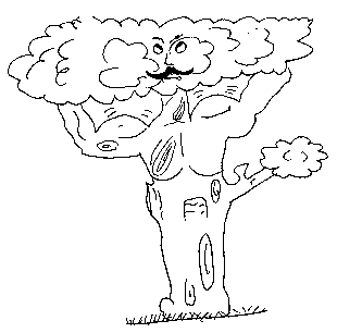 dibuix arbre mascle