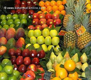 fruta en el mercado