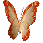 papallona