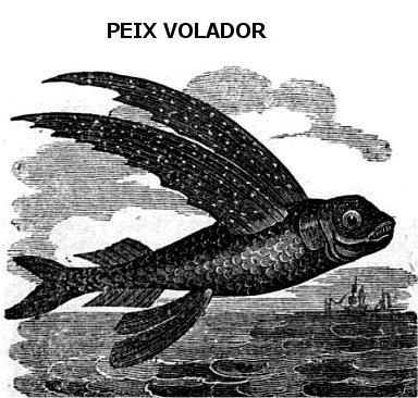 peix volador