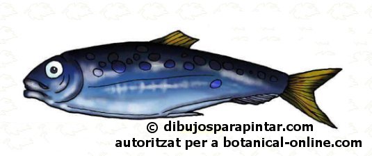 imatge de sardina