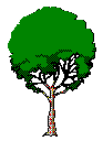 arbre