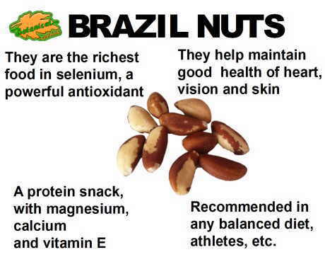 Brazil nuts properties