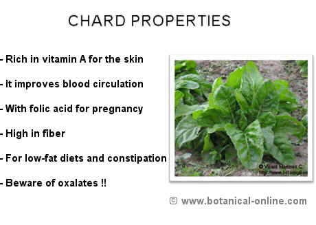 Chard properties