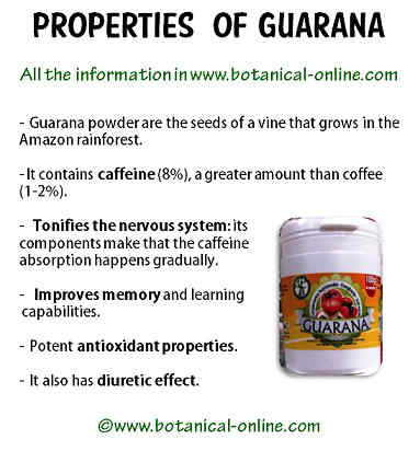 Guarana properties