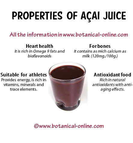 Properties of acai