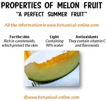 melon properties