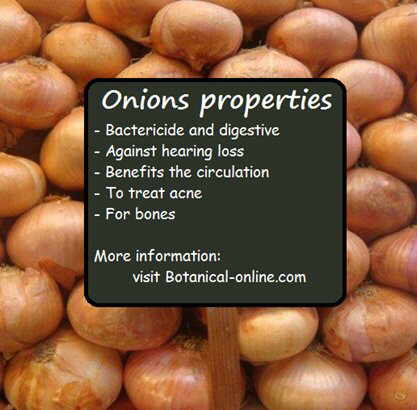 Onion properties