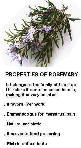 Rosemary properties
