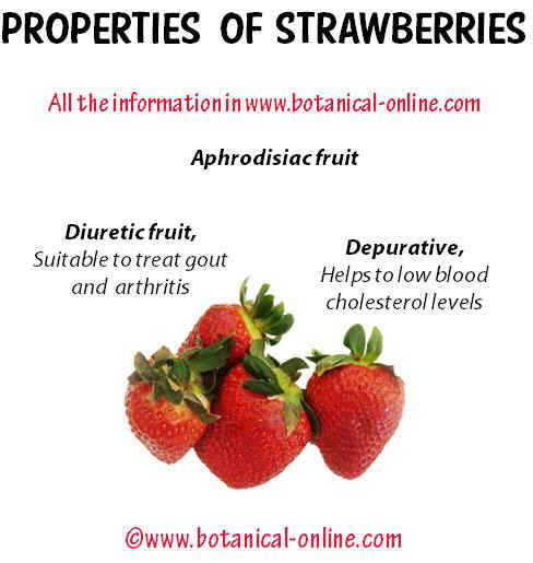 Properties of strawberries