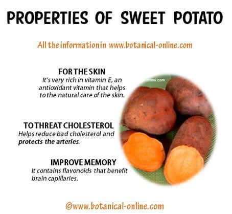 Properties of weet potatoes