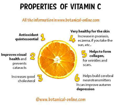 Properties vitamin C