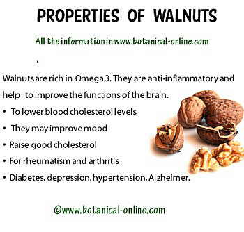 Properties walnuts