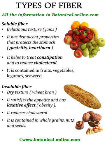 Types of fiber