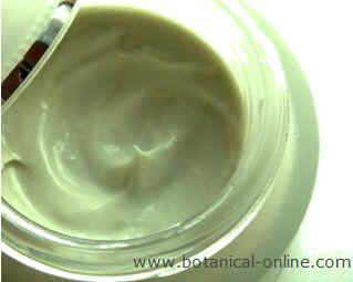 acai oily cream