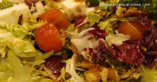 Salad with olive oil