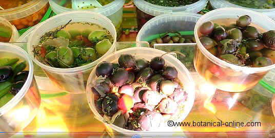 Mediterranean preserved olives 