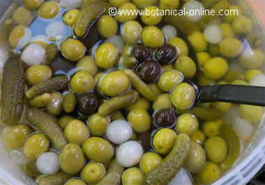 Olives seasoned with pickles and chives