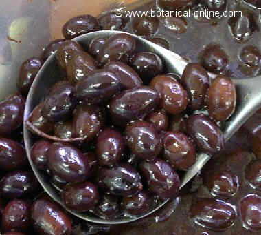 Black macerated olives