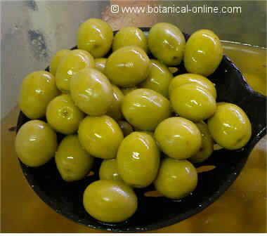 Green macerated olives