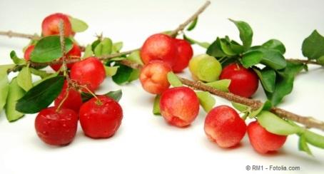 Fruits and branches of acerola