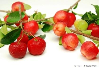 Branches with fruit of acerola,