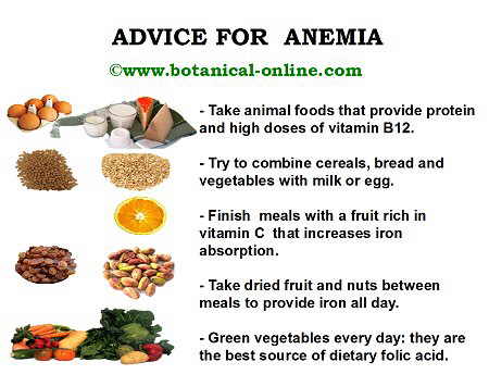 Guideles in the diet for anemia