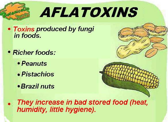 Properties of aflatoxins