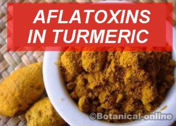 Turmeric aflatoxins