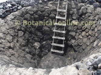 Traditional oven of maguey or agave for mezcal production