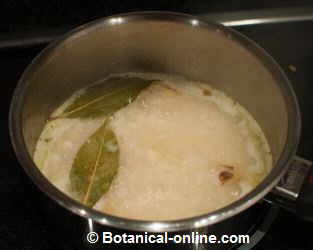 preparation of rice water