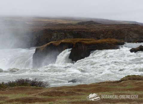 Water streams falling on the sea