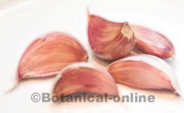 Raw garlic