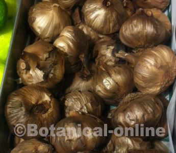 black garlic